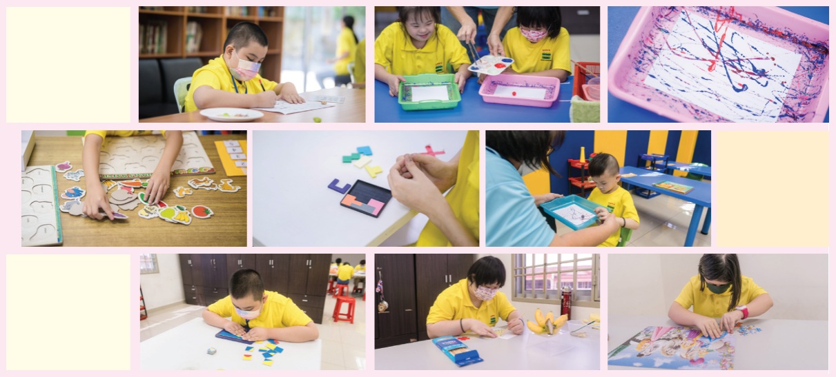 认知课程 Cognitive Activities (Hope Garden)